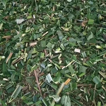 animal-fodder-corn-stalk-grass-cutting-baling