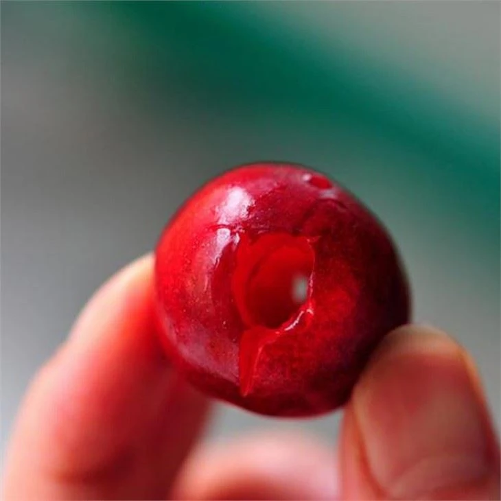 Red Dates Seed Removing Machine