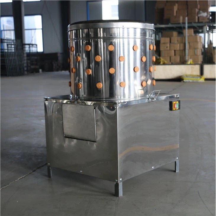 Perad za čupanje pilića